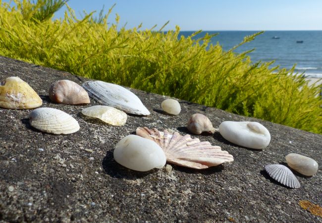 Ferienhaus in Saint-Pierre-Quiberon - Triplette OUEST Ferienhaus in Saint-Pierre-Quiberon - Triplette OUEST