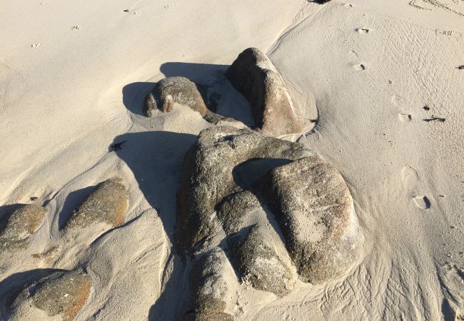 Ferienhaus in Saint-Pierre-Quiberon - La Teignouse Ferienhaus in Saint-Pierre-Quiberon - La Teignouse