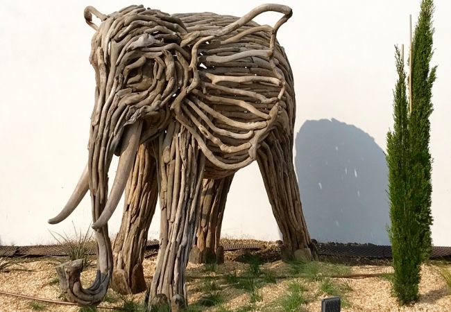 House in Quiberon - Villa HATHI House in Quiberon - Villa HATHI